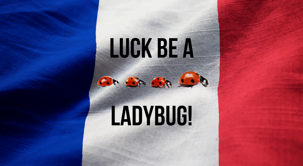 Ladybugs are Lucky in France
